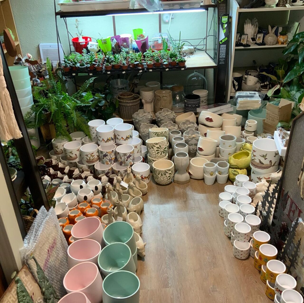 Burleys Gardens & Suite to Burley's Gardens.